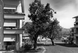  Baugenossenschaft für neuzeitliches Wohnen - Geschäftsbericht 2022